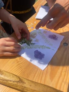 e9139aa9-70c0-49f2-90a9-89a055a887c5